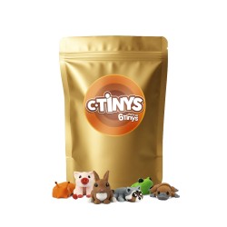 Pack Sorpresa 6 Unidades Tiny Animals