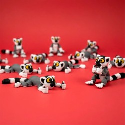 Kiko - Tiny Animals