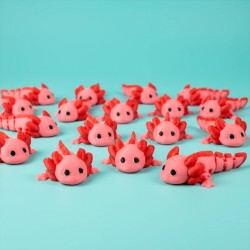 Loti - Tiny Animals