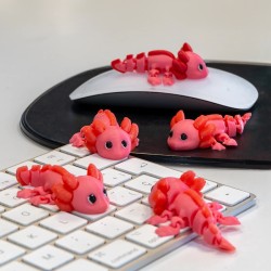 Loti - Tiny Animals