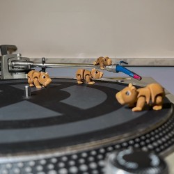 Mojo - Tiny Animals