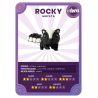 Rocky - Tiny Animals Rocky - Tiny Animals
