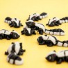 Rocky - Tiny Animals Rocky - Tiny Animals
