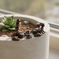 Pinzi - Tiny Animals