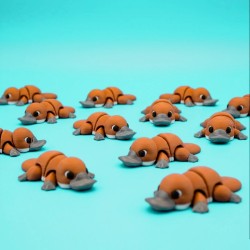 Ferri - Tiny Animals